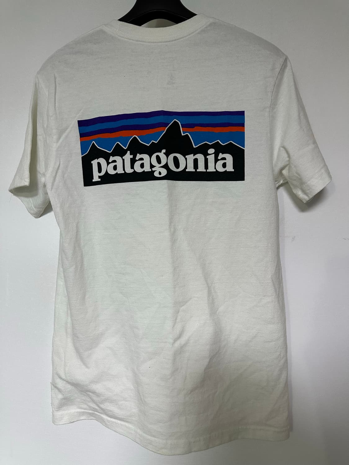 파타고니아 반팔 티셔츠 상품이미지2