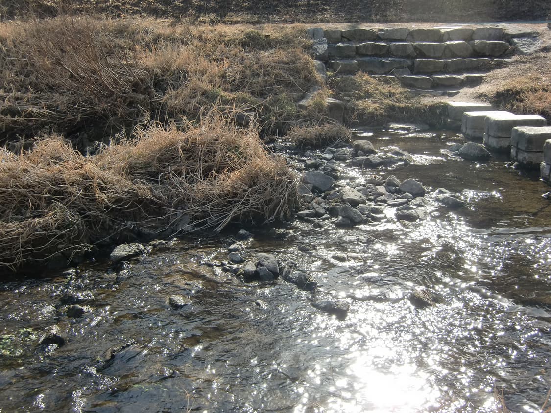 카시오 엑슬림 H10 (작례O) 상품이미지10