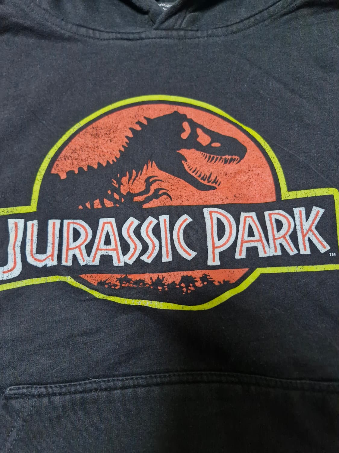 (XL) 00s 빈티지 쥬라기 공원 OG 무비 후드 티셔츠 상품이미지2
