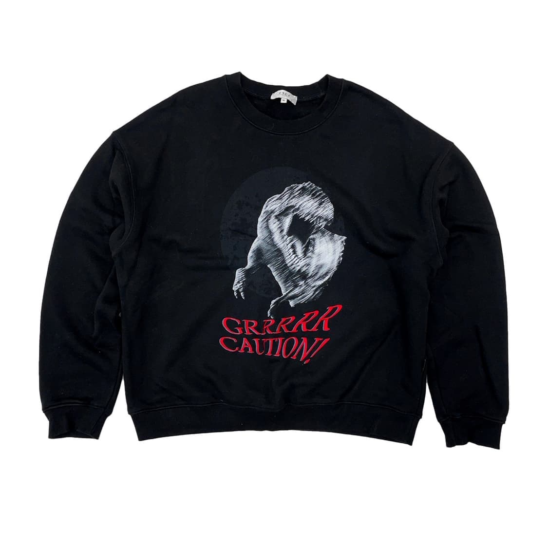 ETCE 공룡 맨투맨 L 상품이미지2