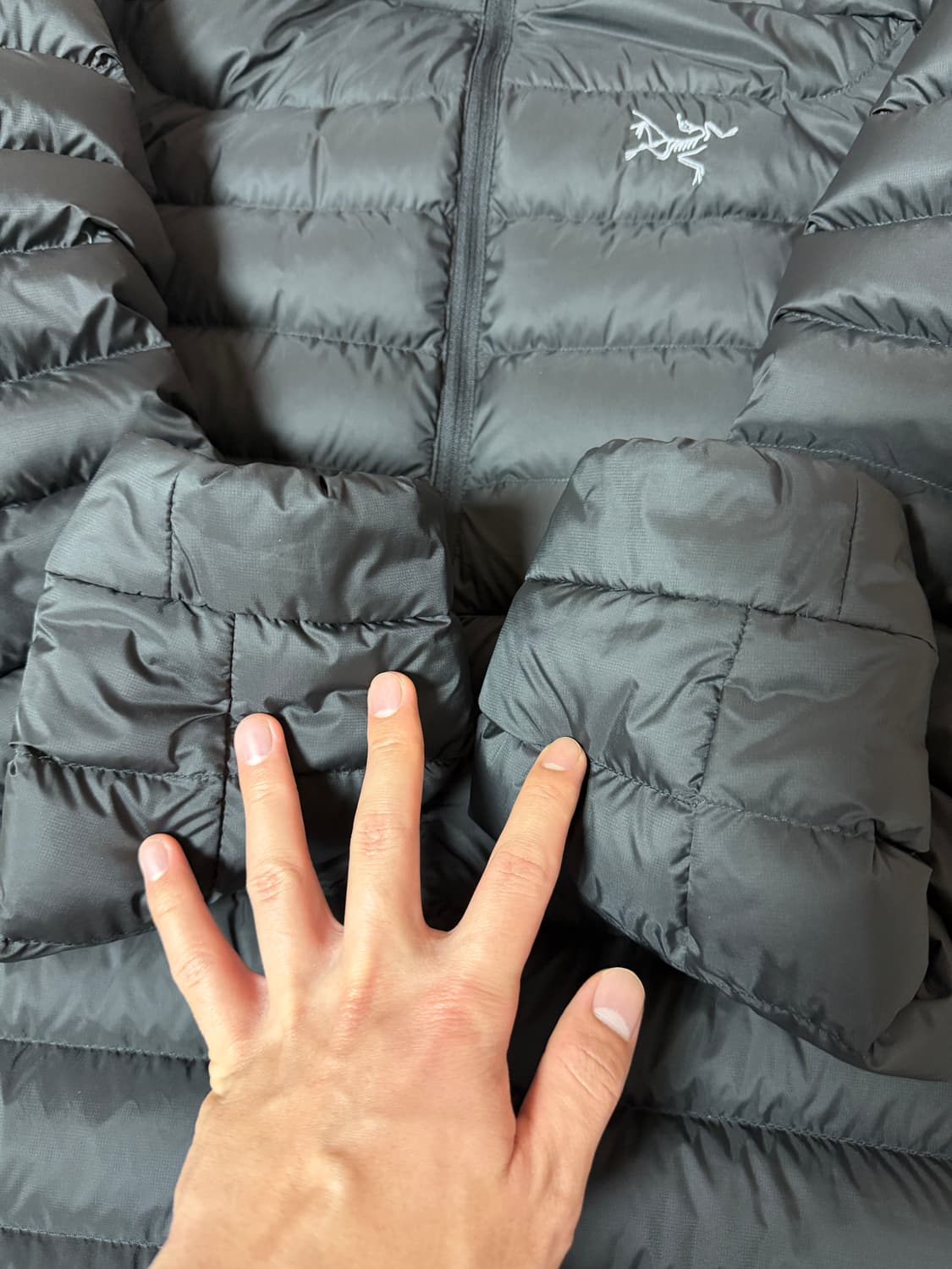 아크테릭스 세륨 후디 블랙 L 상품이미지2