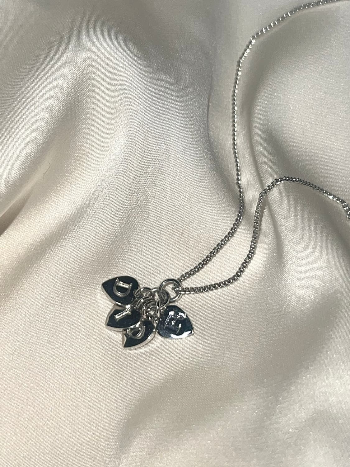Dior 디올 하트 로고 참 목걸이 상품이미지6