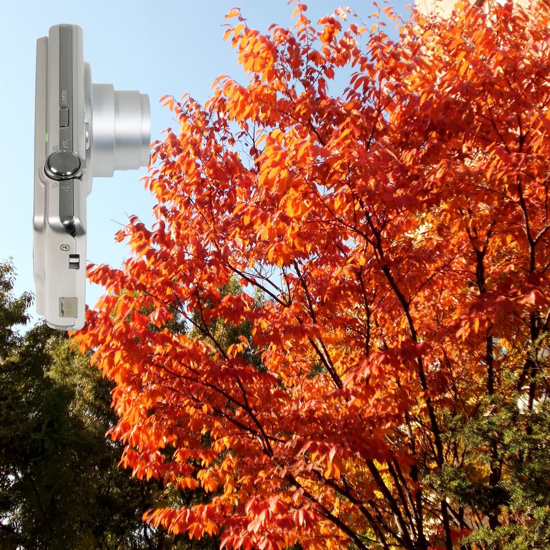 Exilim zs-10 (B급/🎁풀패키지) 상품이미지8