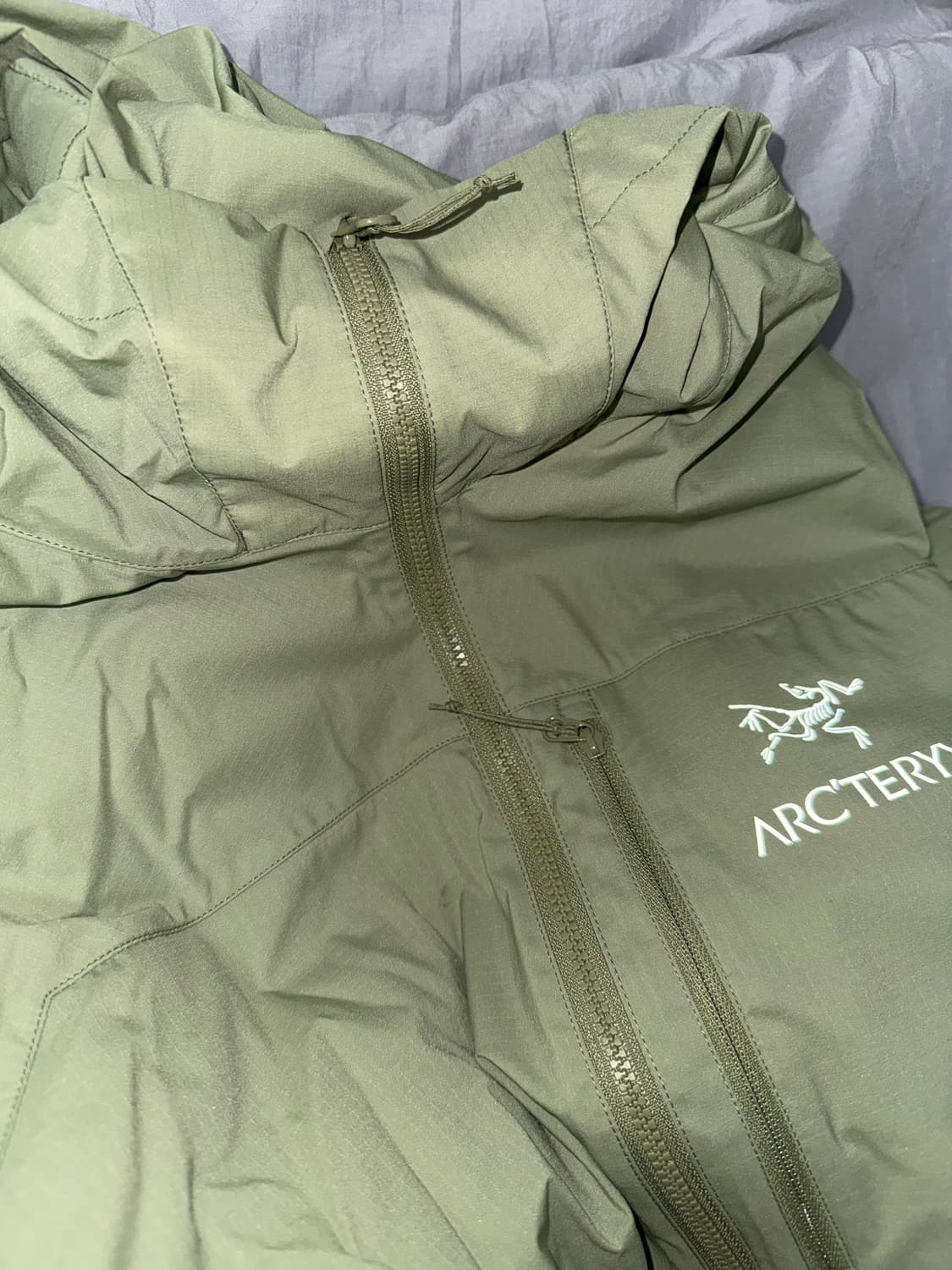 [L] 아크테릭스 스쿼미시 후디 클로리스 상품이미지2