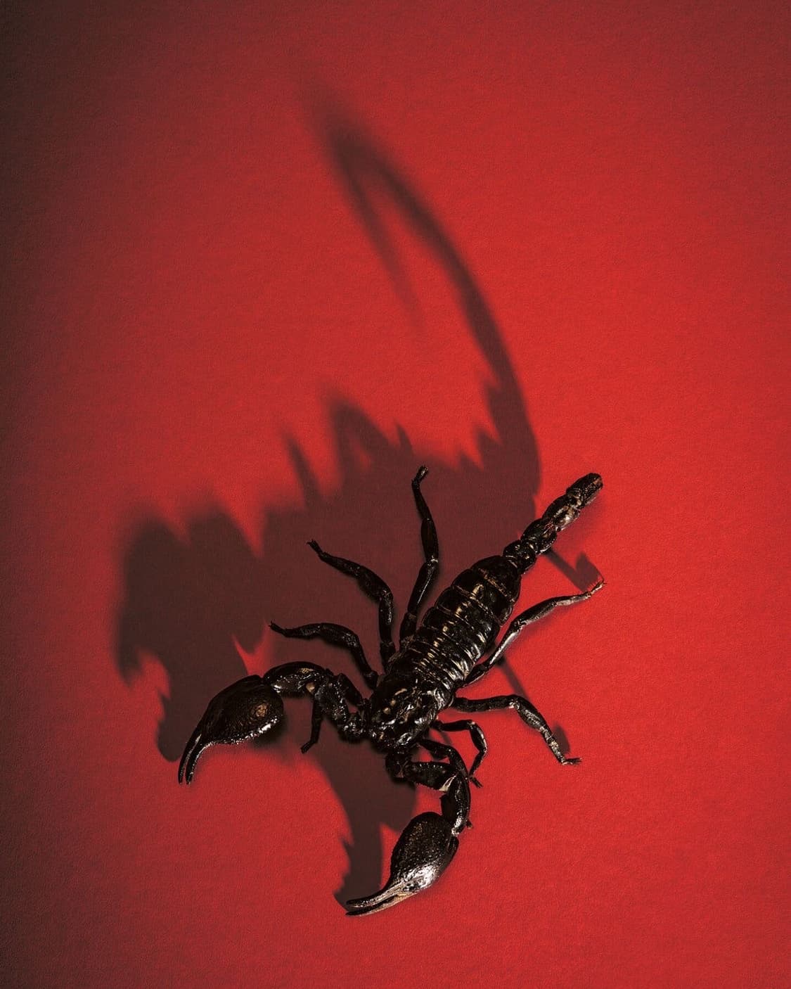 All Products 20% Sale . . . ♥️ 상품이미지1