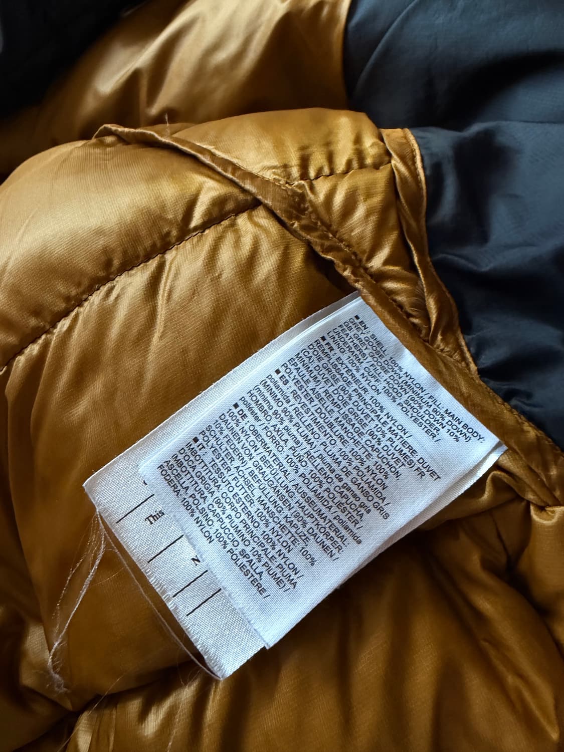 아크테릭스 토륨 24K 상품이미지9