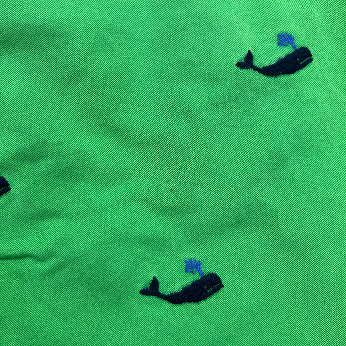 폴로 고래자수 코튼 치노 반바지(33) 상품이미지8