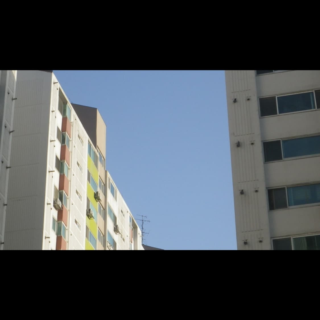 작례⭕️ 펜탁스 옵티오 WG-1 상품이미지5