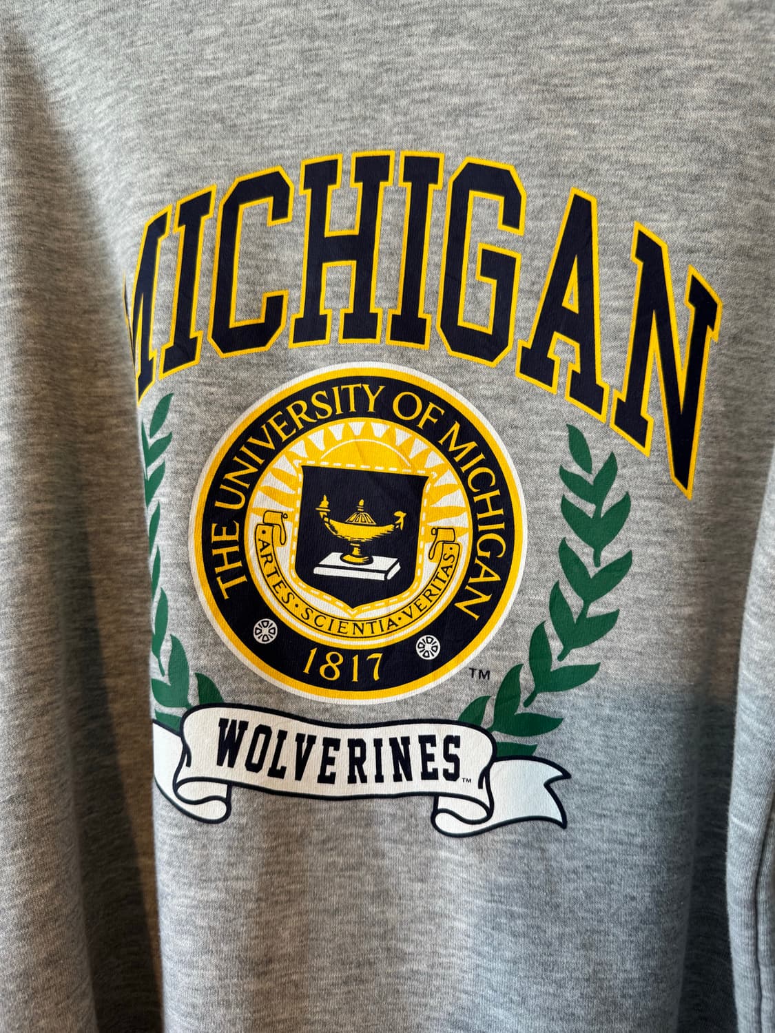 michigan university 상품이미지2