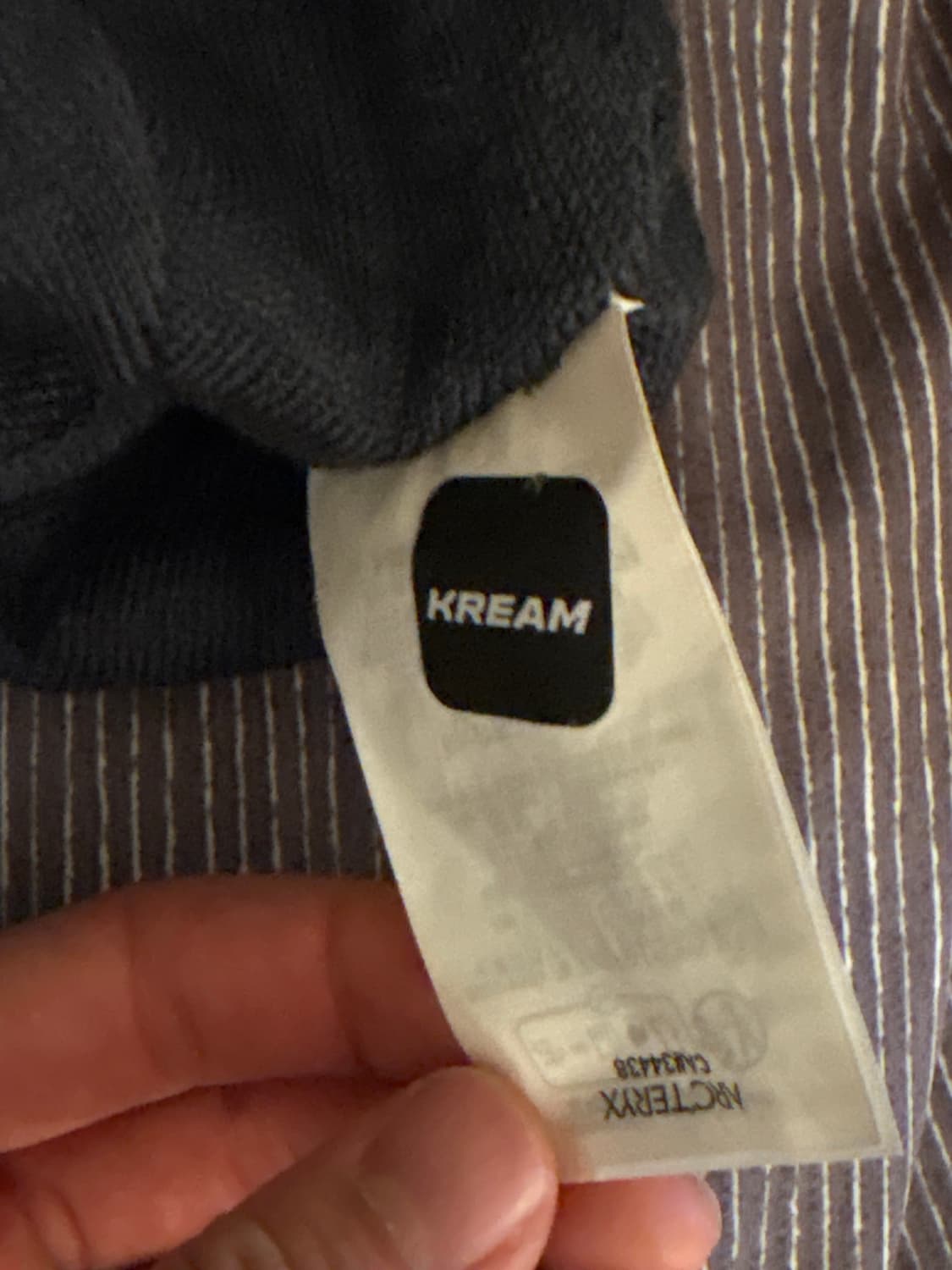 아크테릭스 비니 상품이미지3