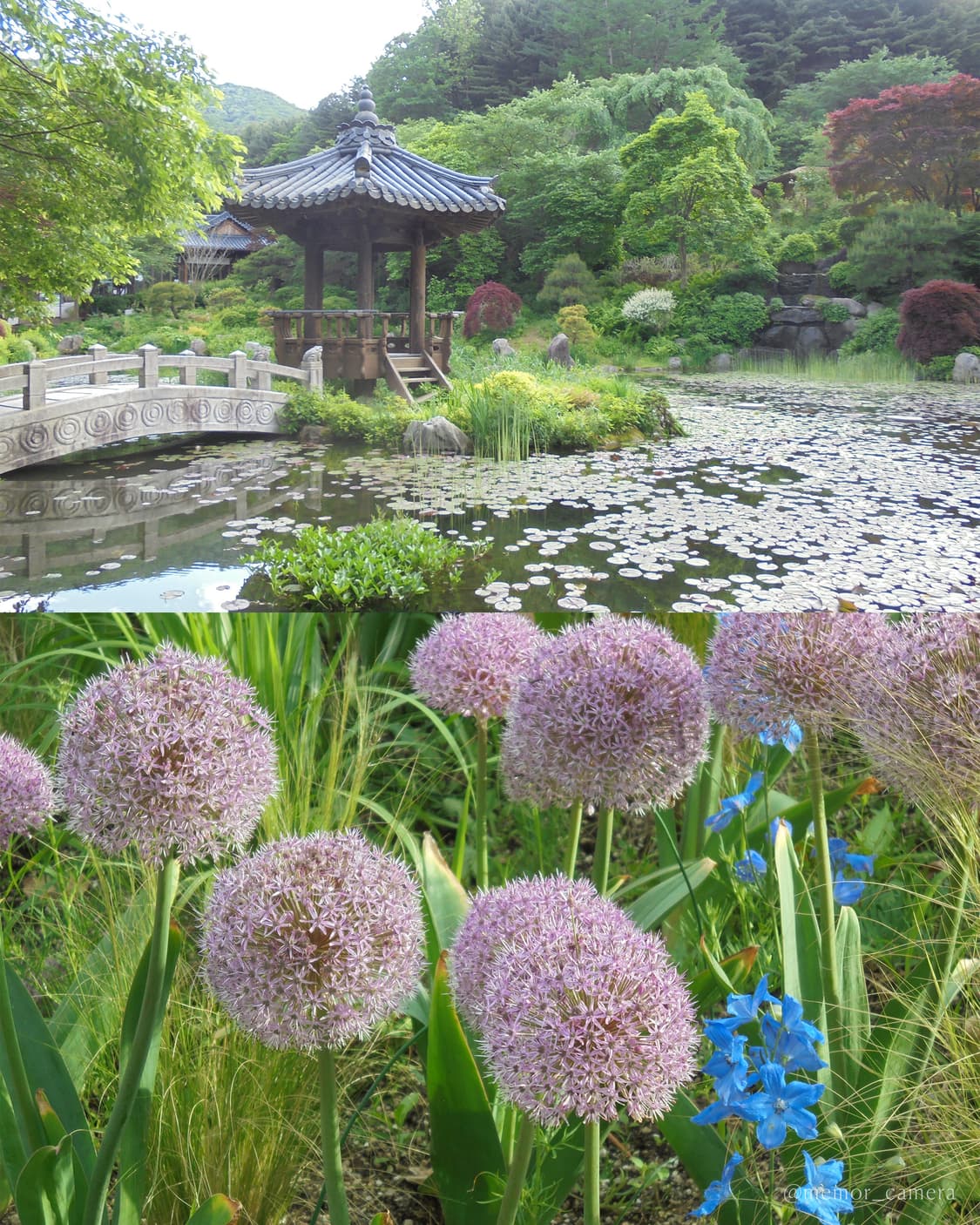 아이브 레이픽✨ SONY DSC-W810 소니 사이버샷 디카 상품이미지10