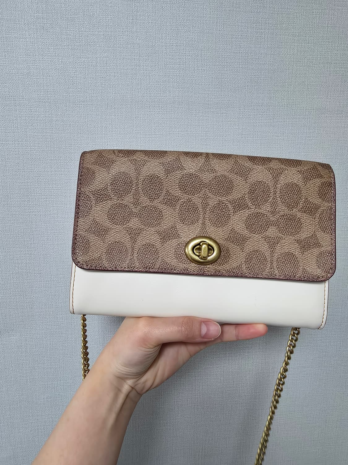 [코치] 시그니처 체인 카드지갑 상품이미지1