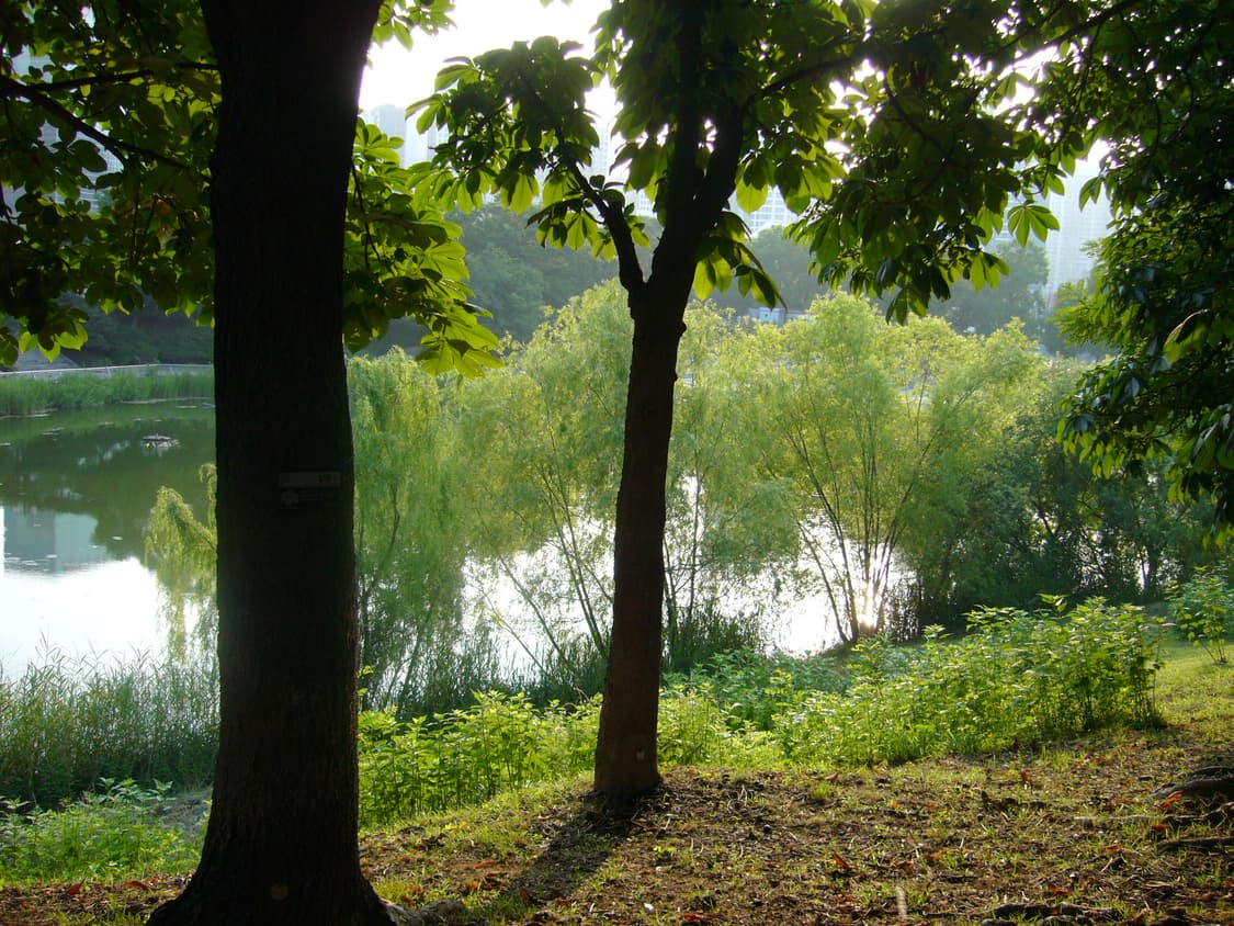 레어템) 파나소닉 루믹스 DMC-FX3 디지털 카메라 상품이미지10