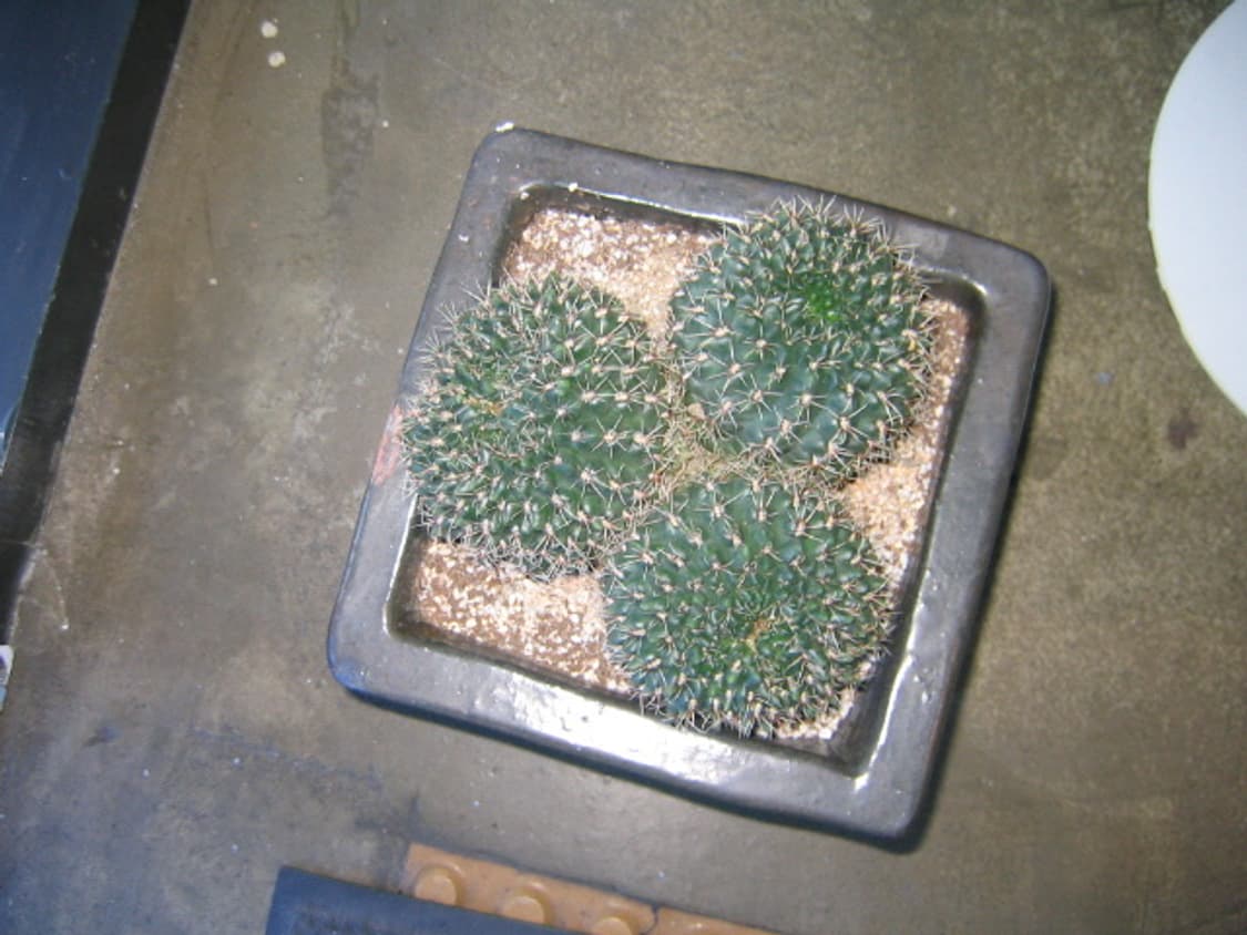 풀박)캐논 익시 디지털30 실버 빈티지디카 상품이미지9