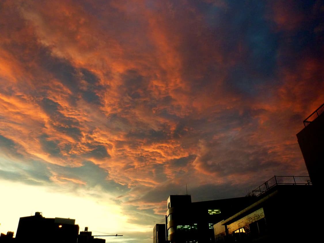 빈티지 디카 모노크롬 상품이미지6