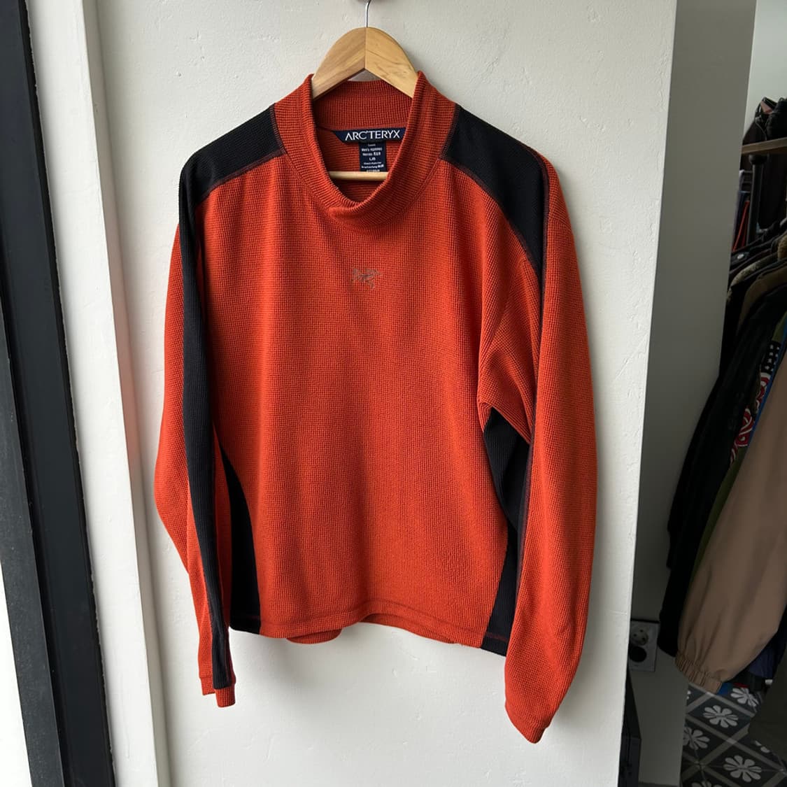 16682 - 아크테릭스 델타 져지 상품이미지2