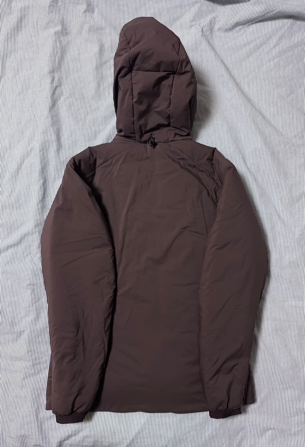 아크테릭스 아톰 AR 후디 피그먼트  상품이미지4