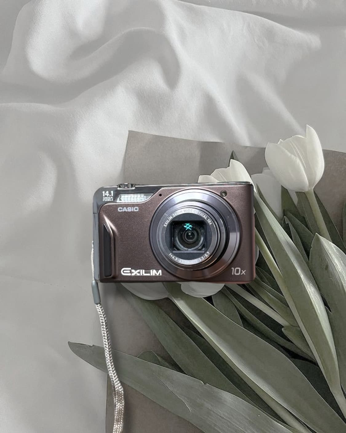 츄‘s pick!) 카시오 엑슬림 EX-H15 디카 빈티지 캠코더 캐논 상품이미지1