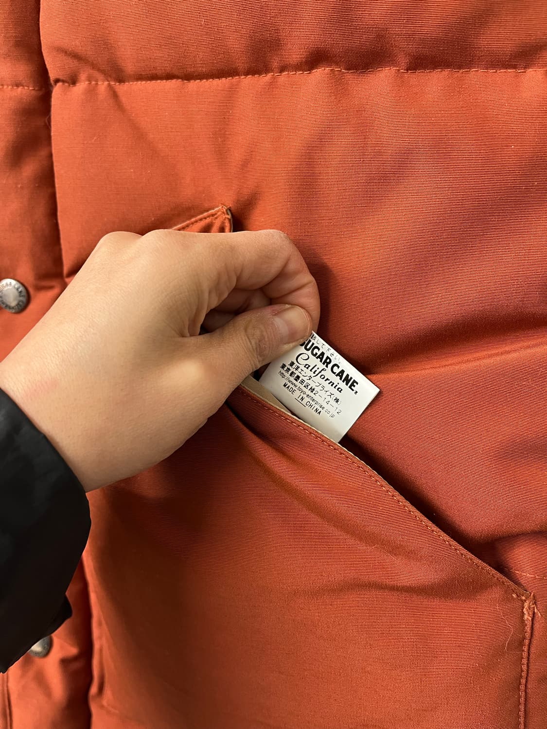 SUGAR CANE 상품이미지7