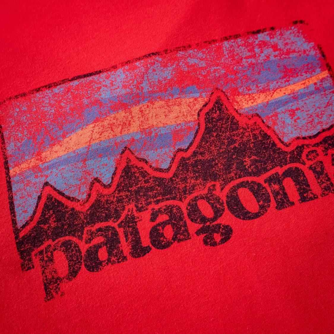 Patagonia ‘Archive Logo’ T /RED (~110) 상품이미지4