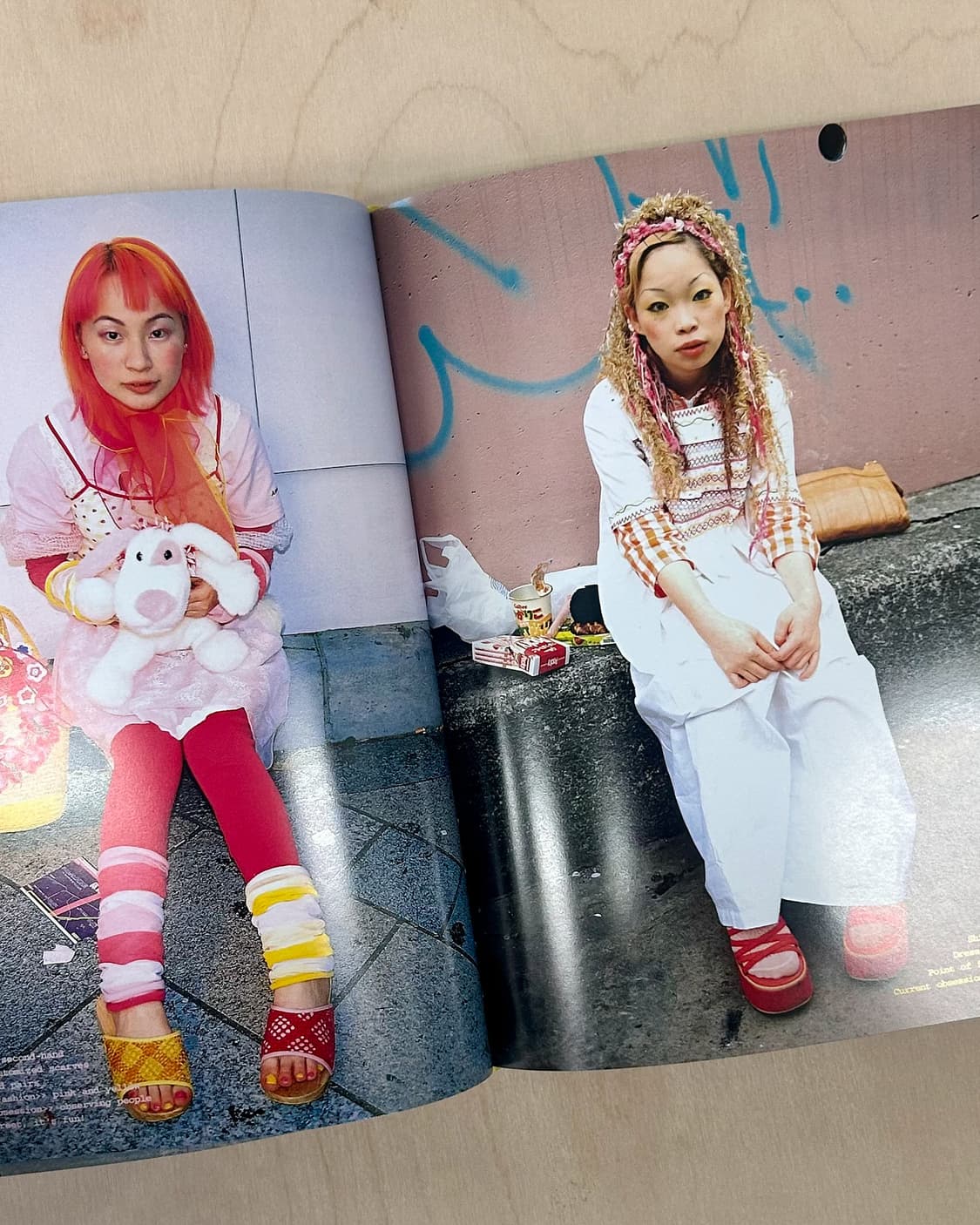 FRUiTS (2005 Edition) 후르츠 아트북 Phaidon 상품이미지3