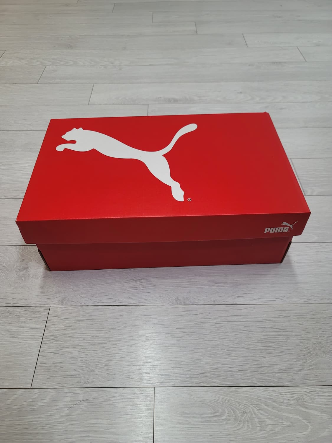 (270)푸마 풋살화 퓨처 7 플레이 TT[대전 직거래도 가능] 상품이미지2