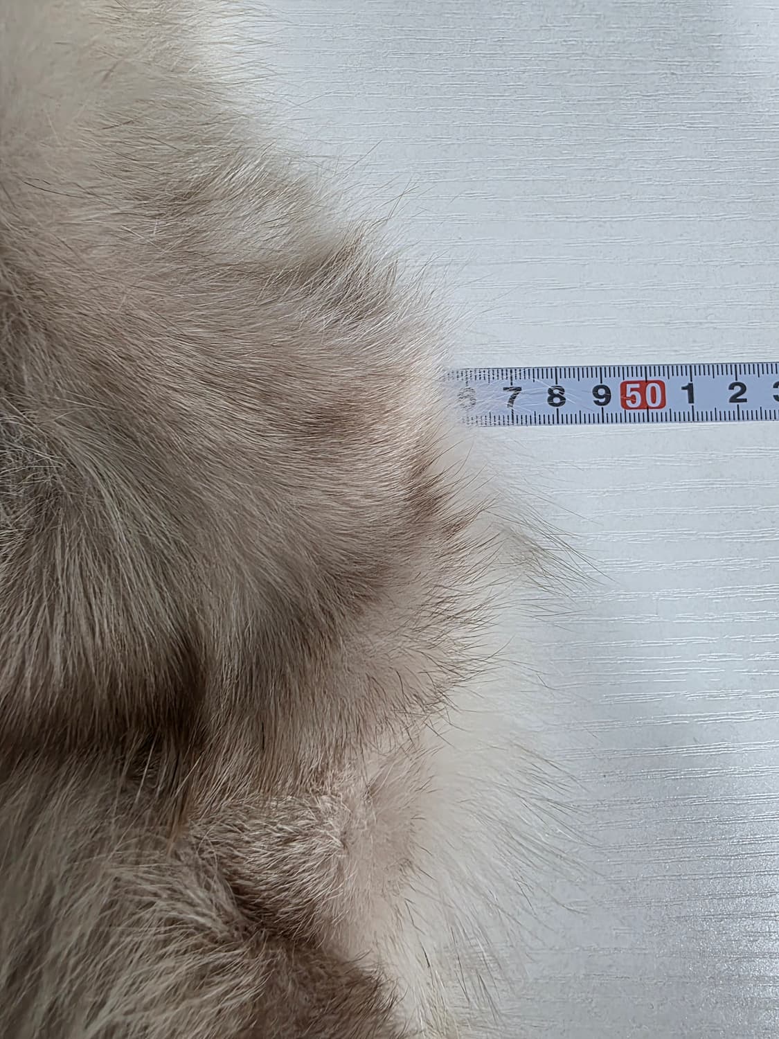 무자크 여우털 베스트 85 상품이미지5