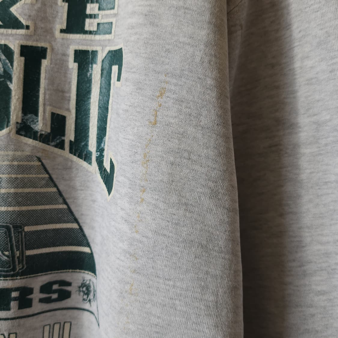 90s 러셀 후드 레이크 캣홀릭 미국 오리지널 빈티지 스웻셔츠 XL 상품이미지6