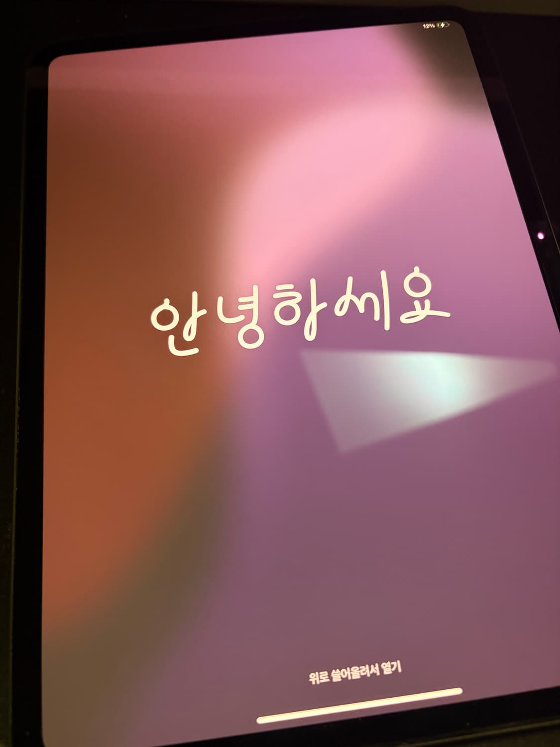 아이패드11 프로 m4 256 + 애플 정품 펜슬,케이스 상품이미지2