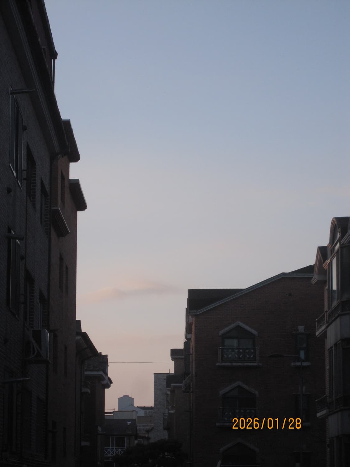 ixus 110 / ixy 510 익서스 110 핑크 판매합니다! 상품이미지10