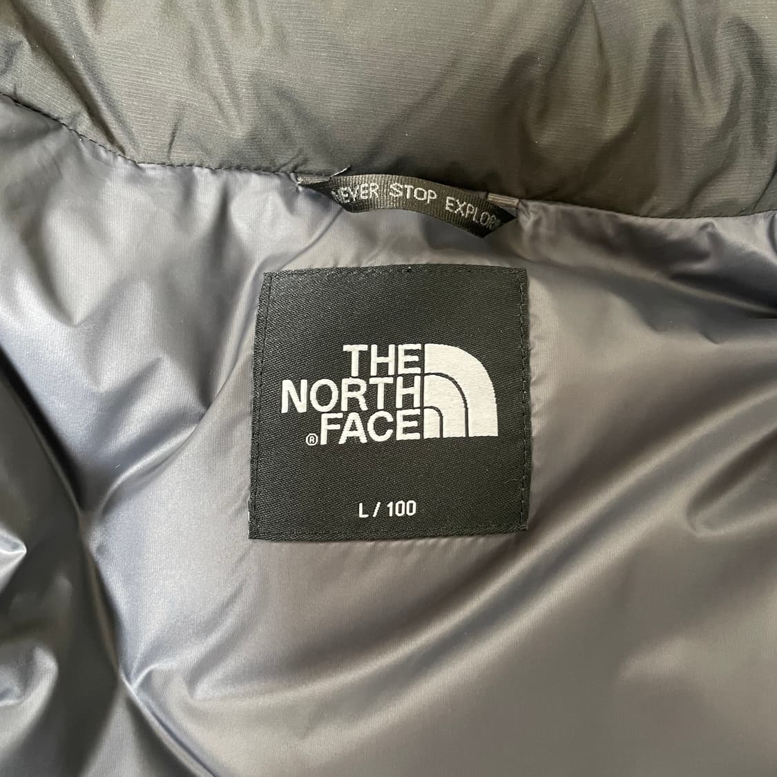 노스페이스 1992 눕시 패딩 L 차콜 상품이미지3