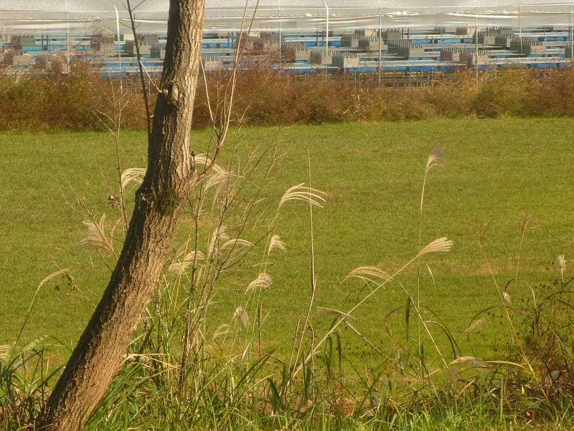 (작례 o) 파나소닉 루믹스 dmc-ft1 상품이미지7