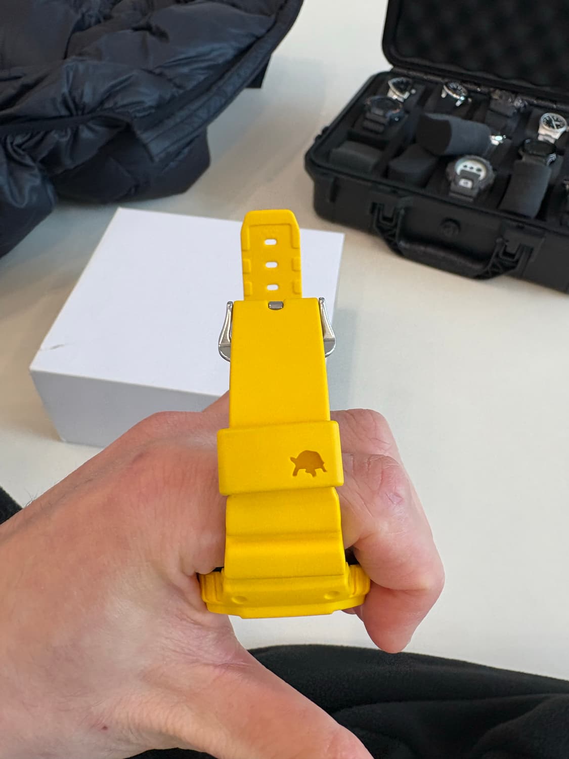 지샥 gw-b5600cd 갈라파고스  상품이미지4