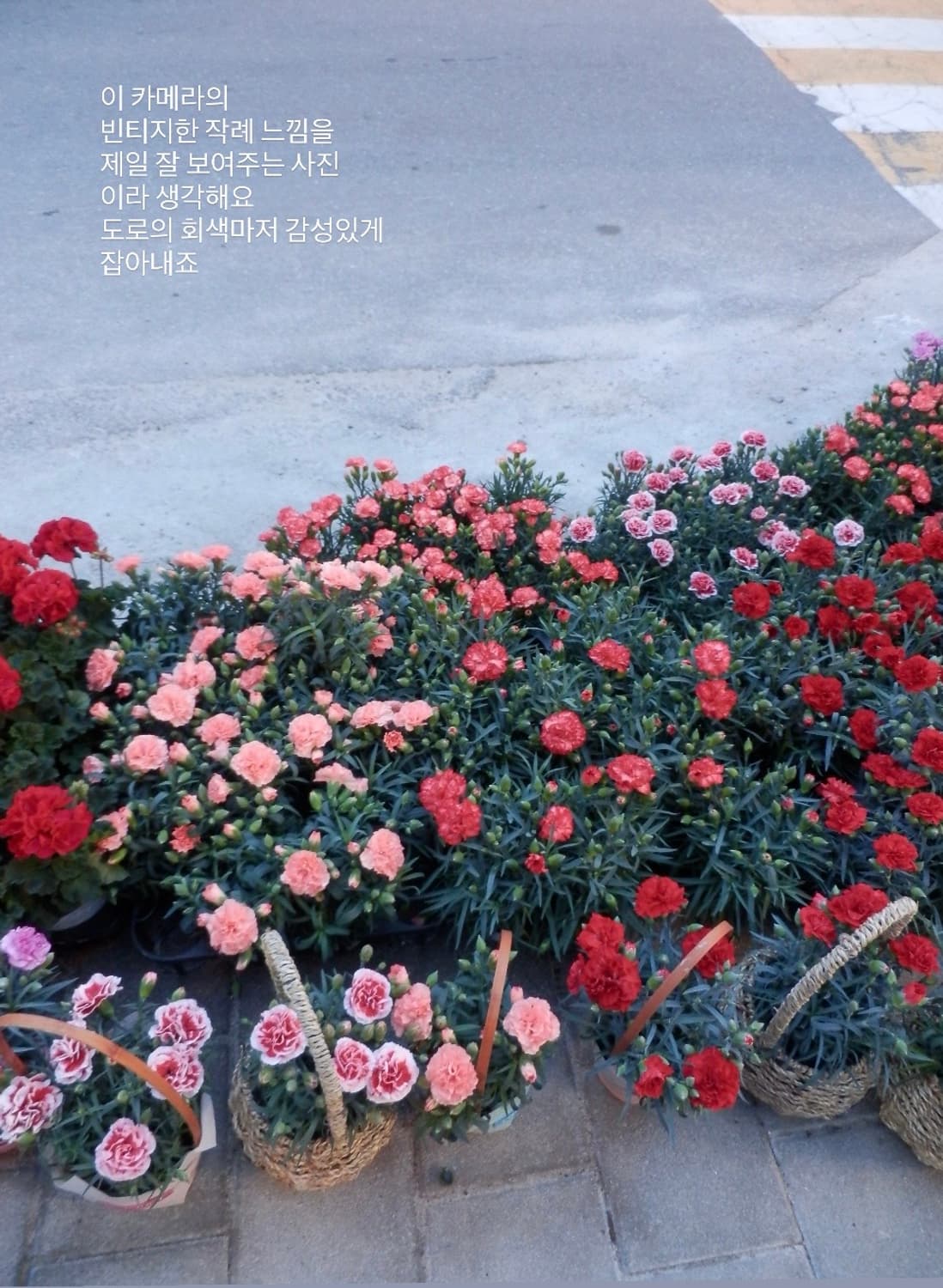 올림푸스 sh-21 샴페인골드 (작례o) 상품이미지5