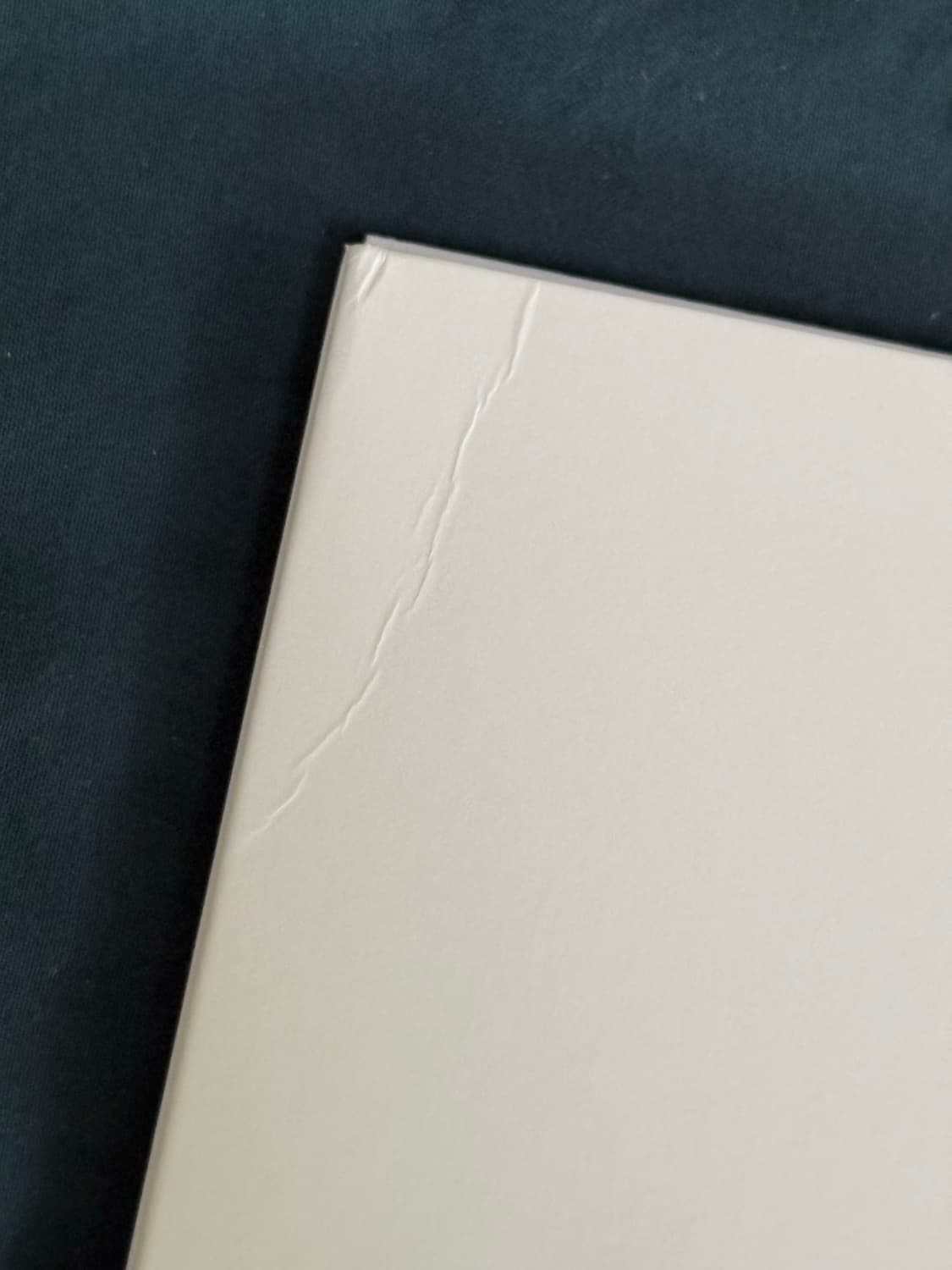 타일러 더 크리에이터 CMIYGL 디럭스LP(개봉) 상품이미지3