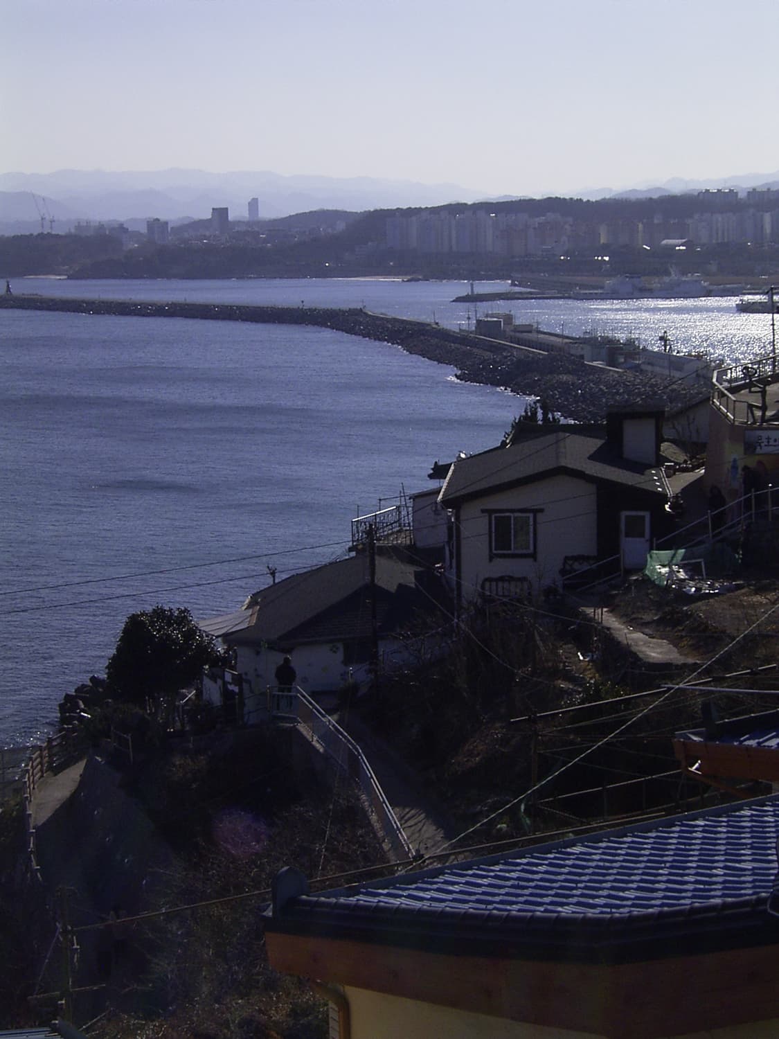 리코 카프리오 pro g3 상품이미지4