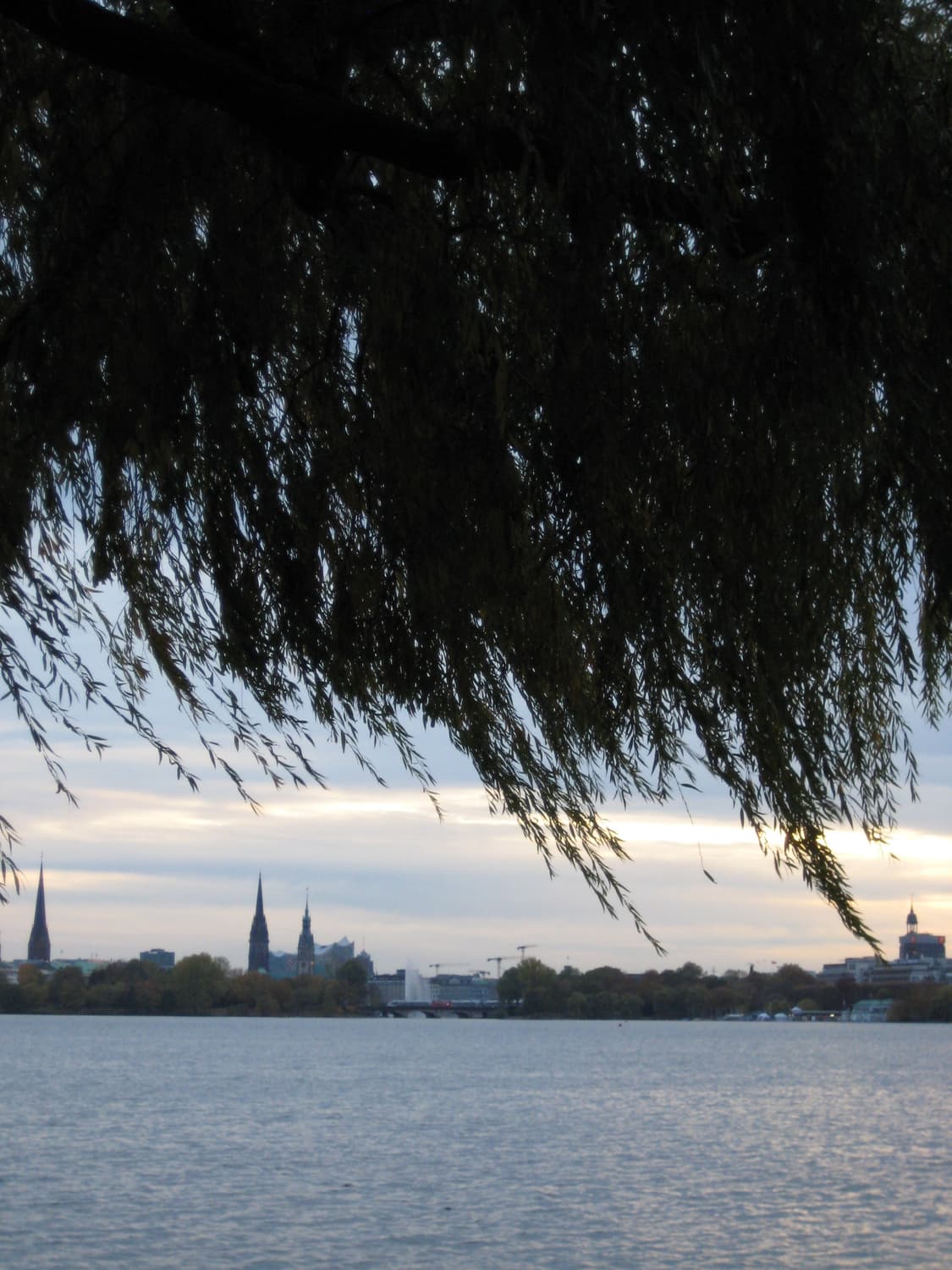 셀카&하이엔드!) Canon PowerShot A80 디카 카메라 상품이미지6