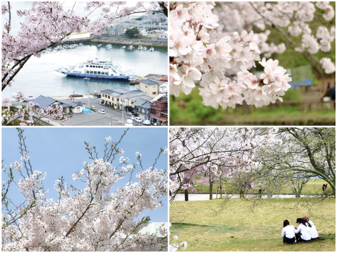 파나소닉 루믹스 SZ3 핑크(작례포함) 빈티지디카 상품이미지2