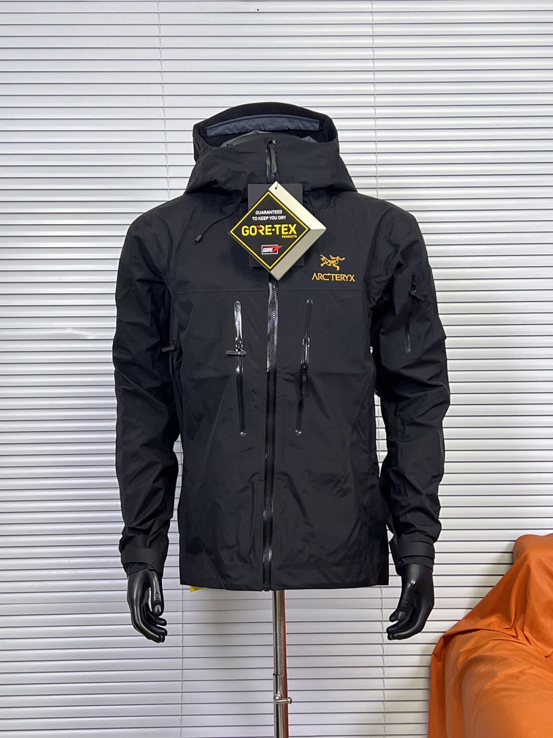 아크테릭스 베타  상품이미지1