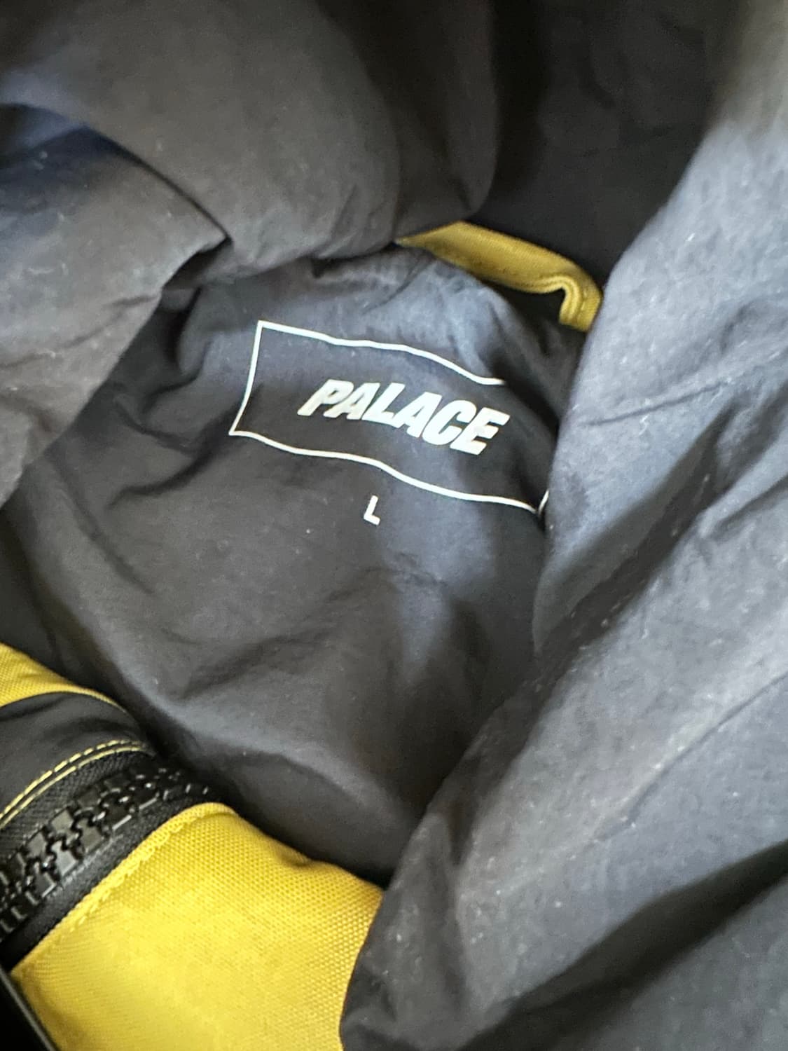 Palace 팔라스 21FW 백자켓 L 상품이미지3