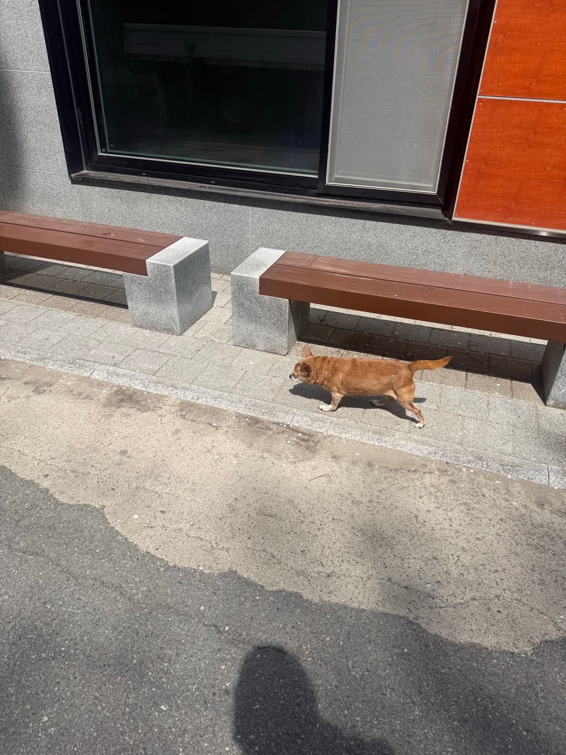 폴리테루 반지 호수상관없이 구매합니다! 연락주세용 상품이미지1