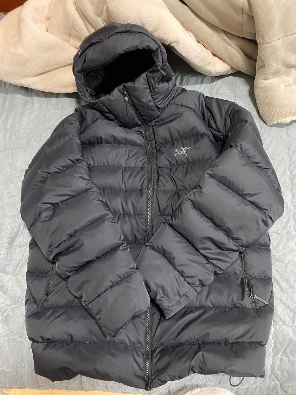 아크테릭스 토륨 후디XL 상품이미지1