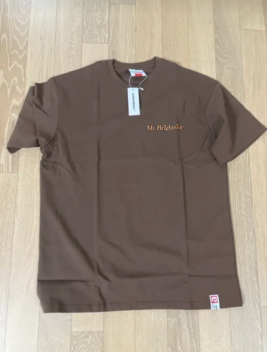 (새상품)엑스트라오디너리 브라운 티셔츠 L사이즈 상품이미지1