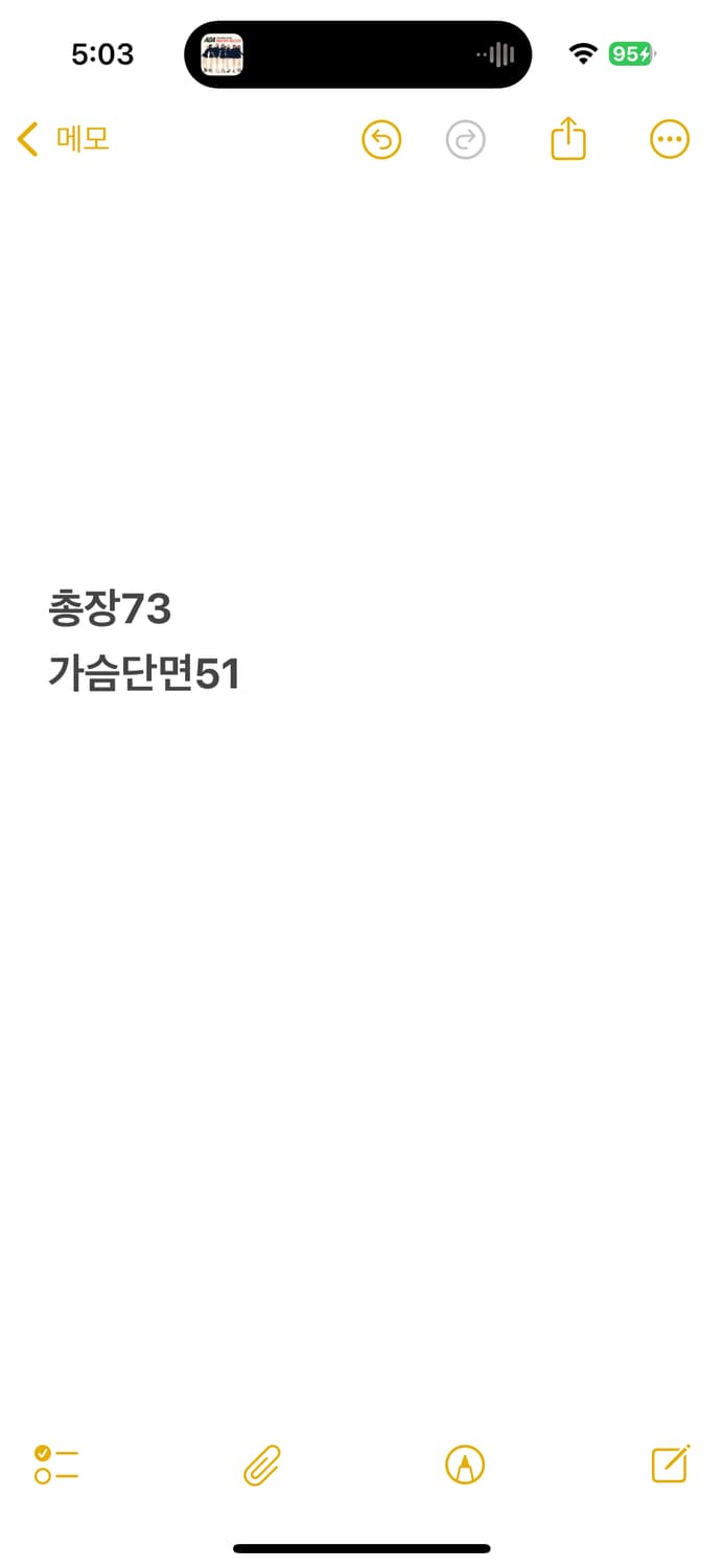 [정품/S] 폴로 랄프로렌 체크 긴팔 셔츠 b18 상품이미지6