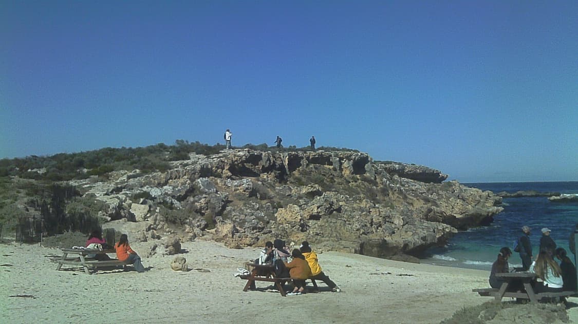 vivitar xx7022 상품이미지9