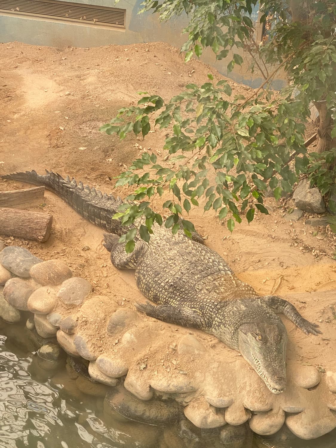 각종 물품등 교환신청받습니다 상품이미지1
