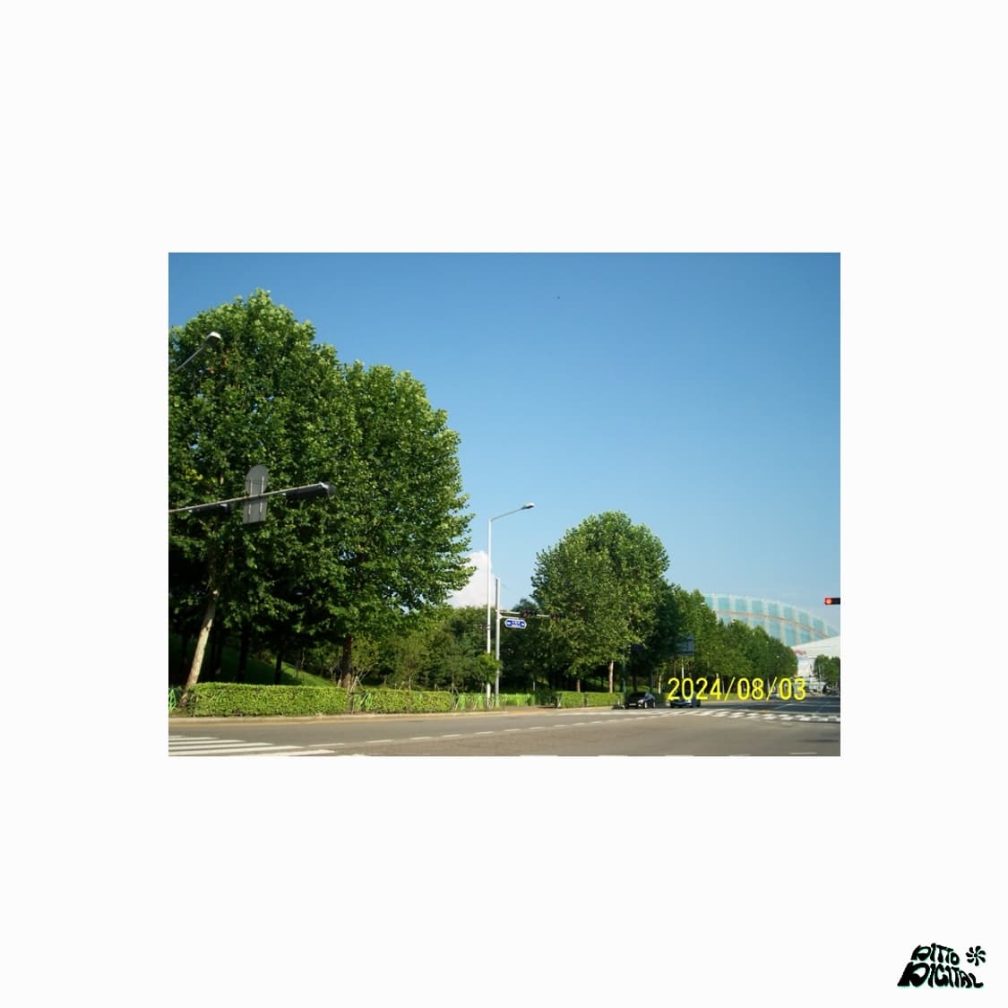 Kodak CD40 디카 상품이미지7