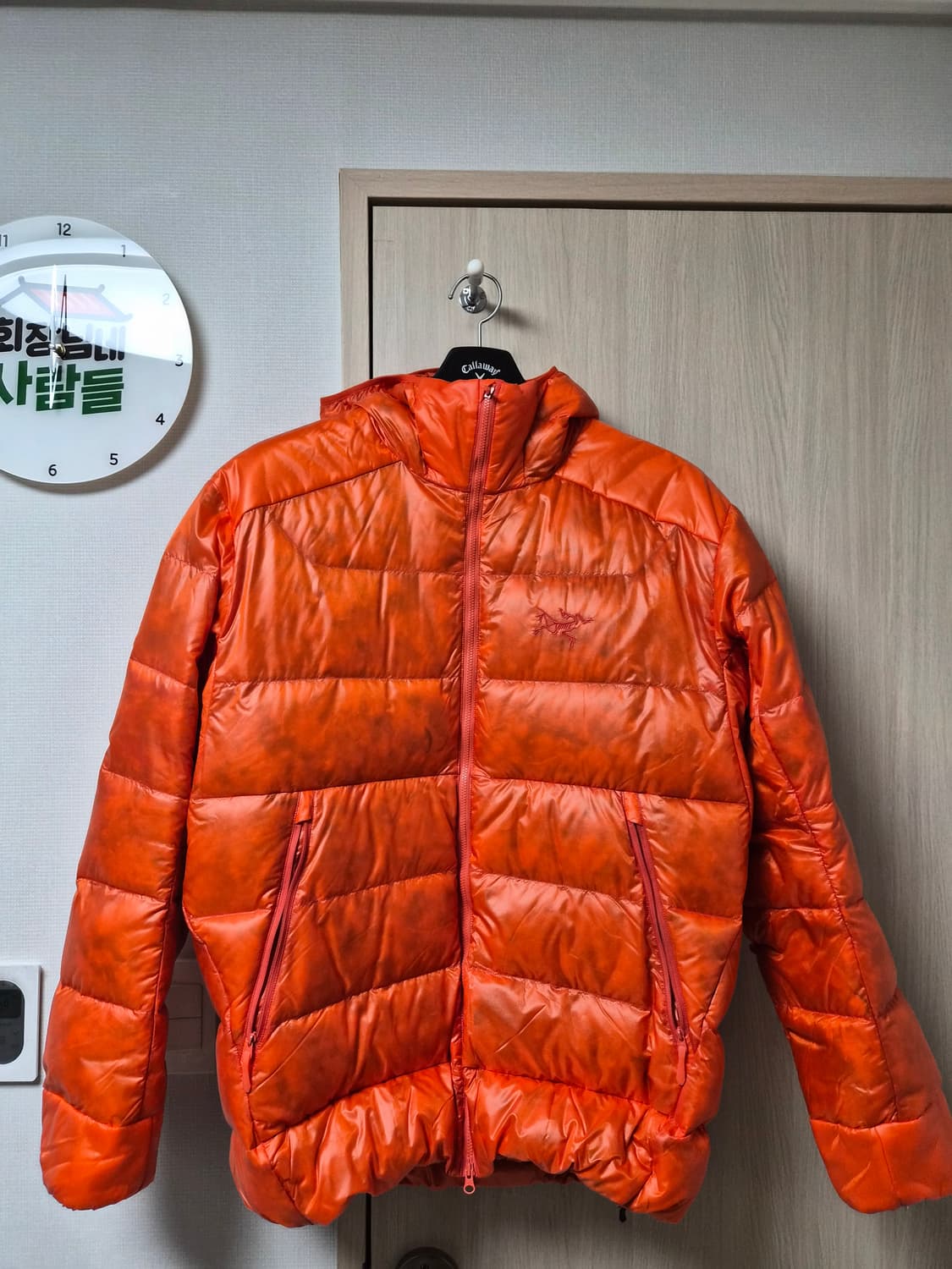 아크테릭스 세륨 SV 솔라리스 L 상품이미지1