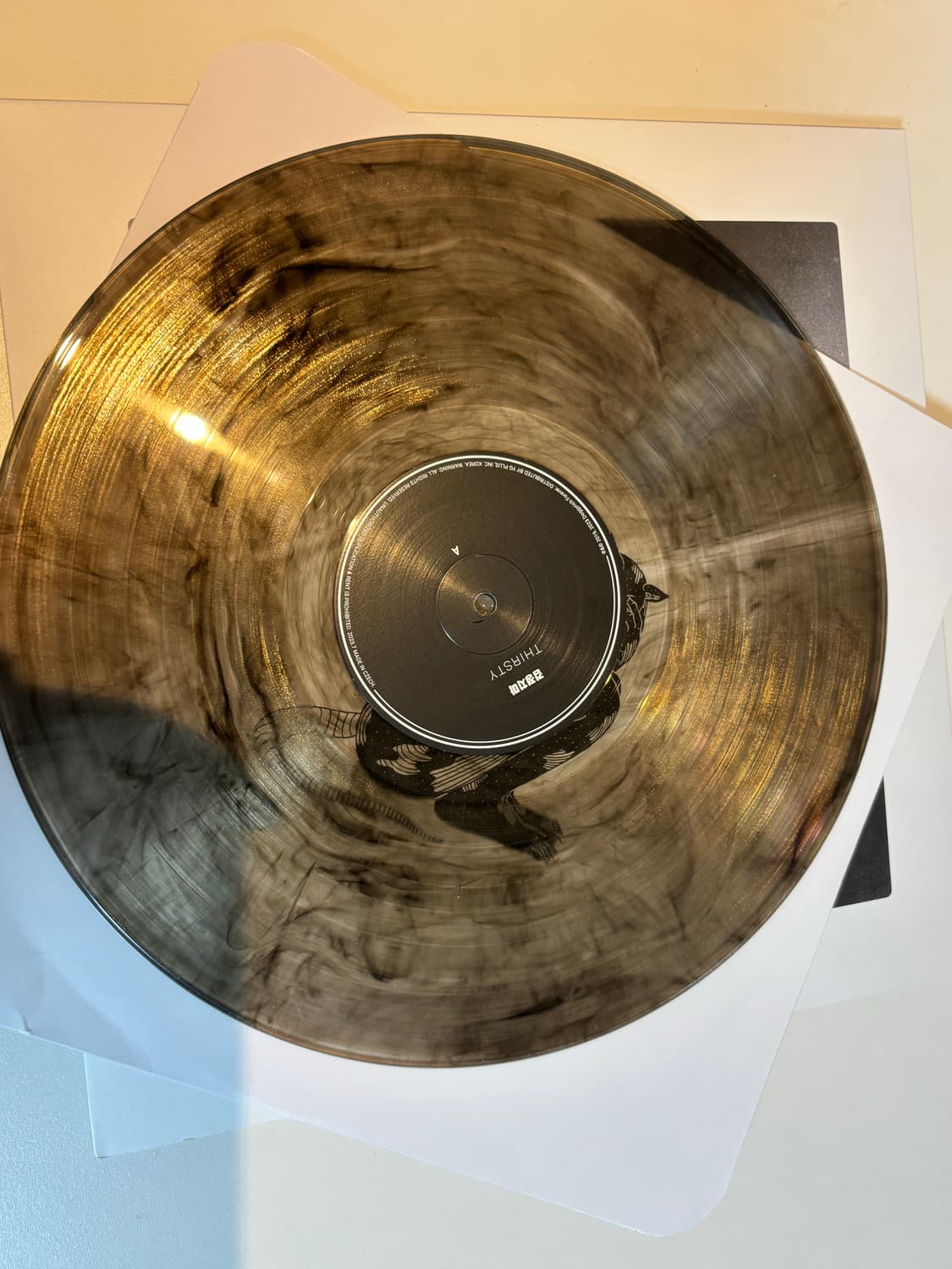 검정치마 thirsty lp 상품이미지4