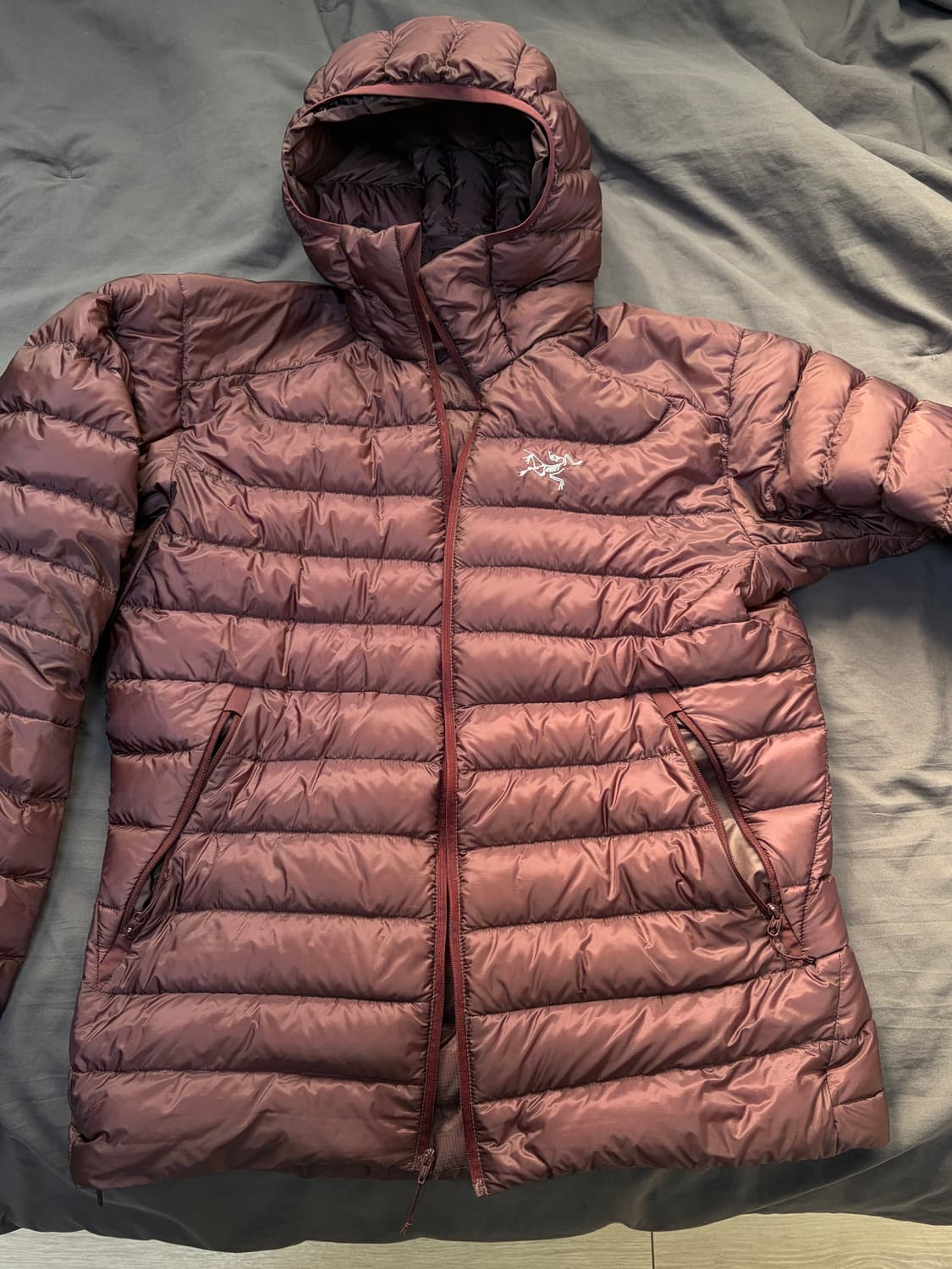 아크테릭스 세륨 버건디 m 상품이미지1